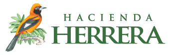 Hacienda Herrera